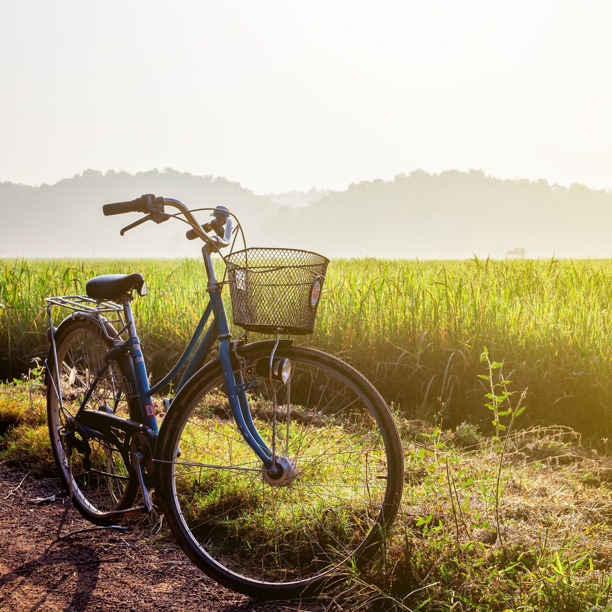 weboptimiert-Fahrrad-auf-Feldweg-scaled-aspect-ratio-1-1